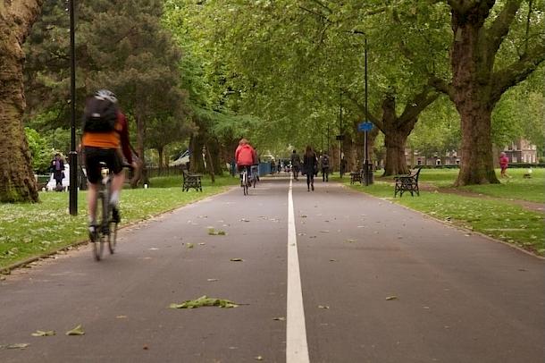 Baumbestandene Allee mit markierter Trennung zwischen Radweg und Gehweg