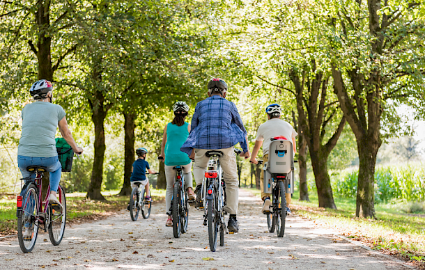 Fahrradfahrer:innen fahren auf einem Fahrradweg unter Bäumen.
